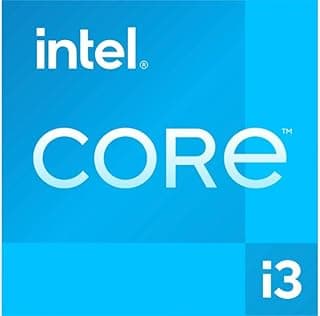 i3-13100