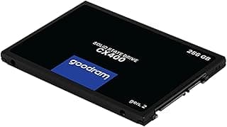 Goodram 400 GEN.2 256GB