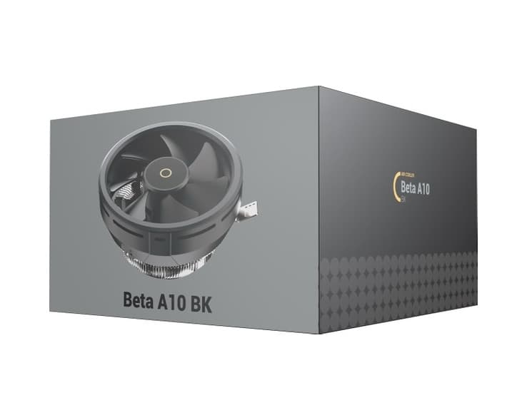 Ocypus BETA A10