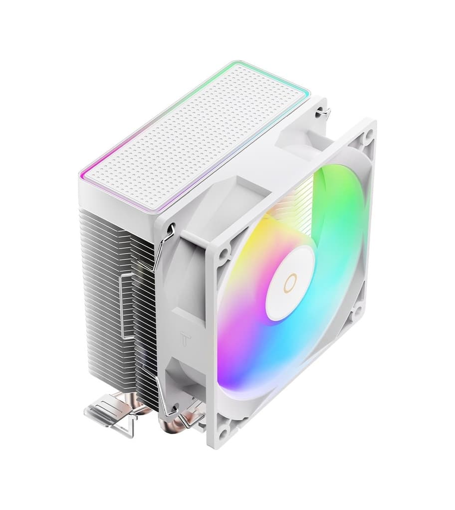 Ocypus GAMMA A20