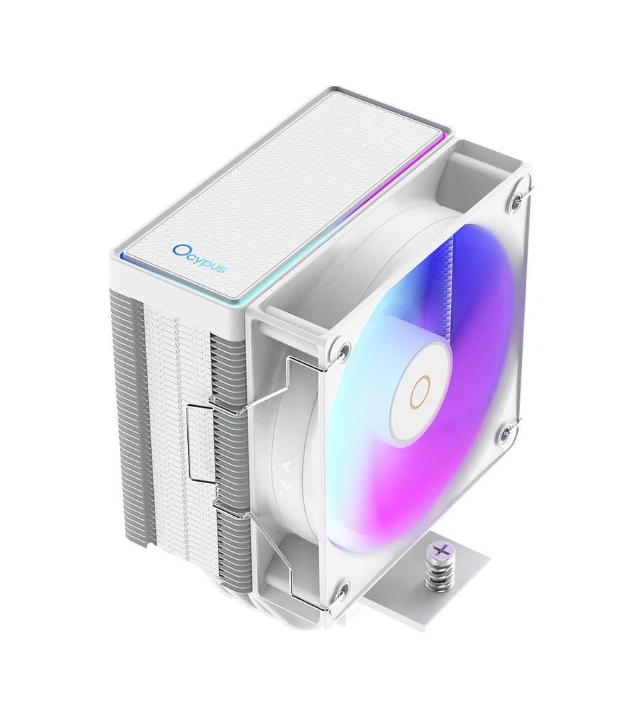 Ocypus GAMMA A40