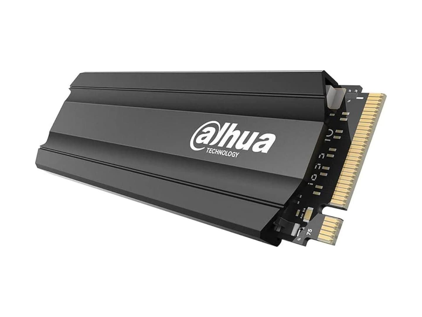 Dahua E900N 256GB