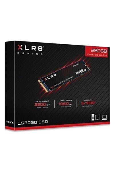 PNY LR8 CS3030 256GB