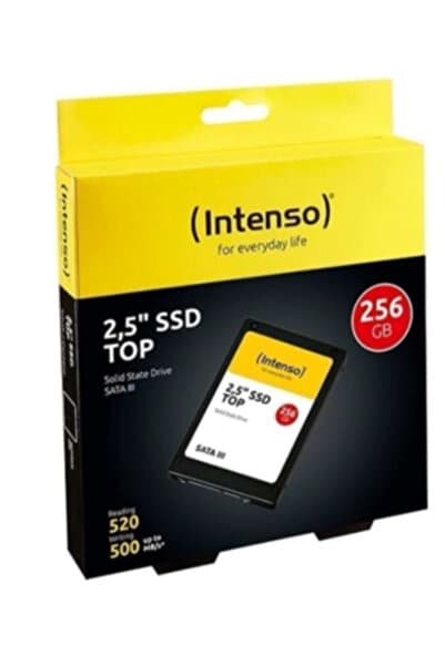 Intenso 256GB