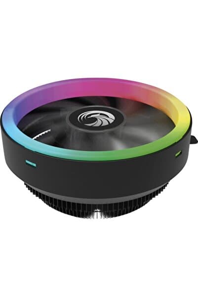 Zoko ICE-4 12CM