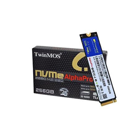 TwinMOS AYRSTORE 256GB