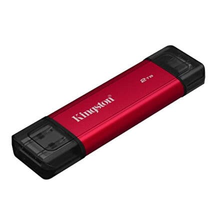 Kingston DUAL 2TB