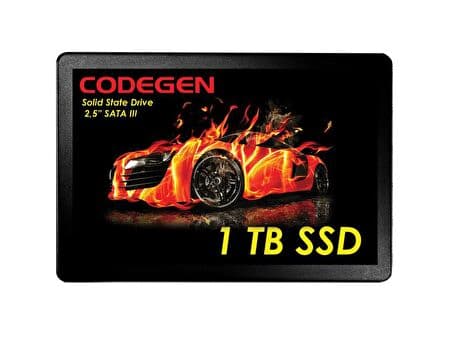 Codegen INC 1TB